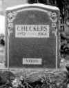 checkers.jpg (31213 bytes)