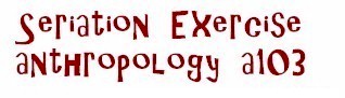 Seriation banner exercise